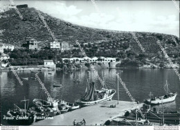 Br121 Cartolina Porto Ercole Panorama  Provincia Di Grosseto Toscana - Grosseto