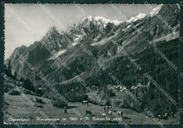 Aosta Courmayeur Planpincieux Monte Bianco Pascolo Foto FG Cartolina KB1831 - Aosta