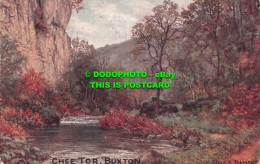 R510044 Buxton. Chee Tor. G. Childeric. Peakland Series No. 2. Card No. 511. Geo - World