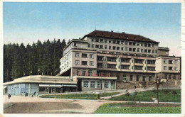 73972836 Lazne_Luhacovice_Bad_Luhatschowitz_CZ Hotel Palace - Czech Republic