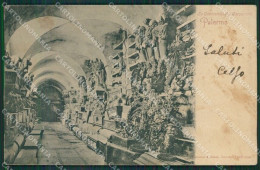 Palermo Città Catacombe Cartolina KV4446 - Palermo