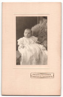 Fotografie Atelier Skrivanek, Frankfurt A / M., Portrait Niedliches Baby Im Hübschen Kleid Auf Fell Sitzend  - Anonyme Personen