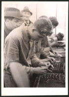 Fotografie Ansicht Wien, Berufswettkamp Im Glashaus Eines Gärtnerei-Grossbetriebs  - Professions