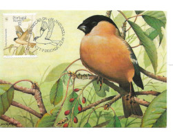 Aves - Açores - Maximum Cards & Covers