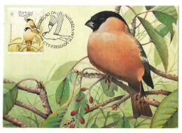 Aves - Açores - Cartoline Maximum