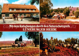 73858874 Lueneburger Heide Mit Dem Kutschwagen Durch Den Naturschutzpark Luenebu - Walsrode