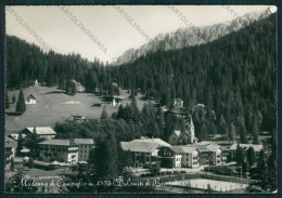 Trento Pinzolo Madonna Di Campiglio Foto FG Cartolina KV8292 - Trento