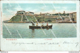 Bg96 Cartolina Piombino La Cittadella 1905 Provincia Di Livorno - Livorno