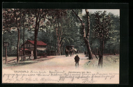 AK Grunewald, Bahnübergang Am Stern  - Grunewald