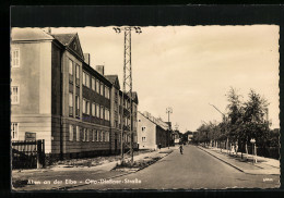 AK Aken, Blick In Die Otto-Diessner-Strasse  - Aken