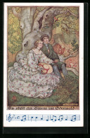 AK Deutscher Schulverein Nr. 1252: Verliebtes Paar Sitzt Unter Einem Baum, Es Steht Ein Baum Im Odenwald  - War 1914-18