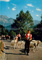 13732038 Saentis AR Alpfahrt Mit Saentis Saentis AR - Sonstige & Ohne Zuordnung