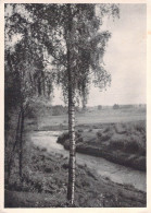 German Feldpost WW2: PC Landscape Scenery From 4. Batterie Flakscheinwerfer-Abteilung 328 FP L27236 LGPA Frank - Militaria