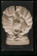 AK Finelli: Venus, Plastik  - Sculptures