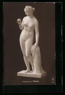 AK Venus, Nackte Frau Hält Einen Apfel In Der Hand, Plastik  - Esculturas