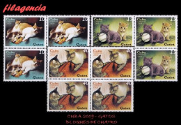 CUBA. BLOQUES DE CUATRO. 2009-13 FAUNA. GATOS - Unused Stamps