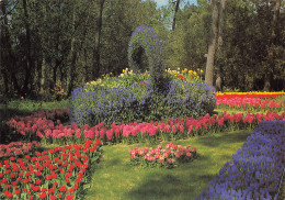 85 LA TRANCHE SUR MER LES FLORALIES   - La Tranche Sur Mer