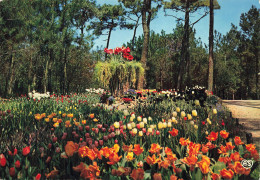 85 LA TRANCHE SUR MER LES FLORALIES - La Tranche Sur Mer