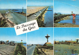 85 NOIRMOUTIER EN L ILE LE PASSAGE DU GOIS  - Noirmoutier
