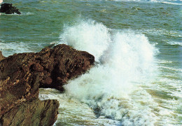 85 BRETIGNOLLES SUR MER LA COTE DE LA SAULZAIE - Bretignolles Sur Mer