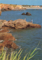 85 BRETIGNOLLES SUR MER LA COTE SAUVAGE  - Bretignolles Sur Mer