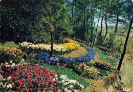 85 LA TRANCHE SUR MER LES FLORALIES - La Tranche Sur Mer