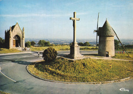 85 LES HERBIERS LE MONTS DES ALOUETTES - Les Herbiers