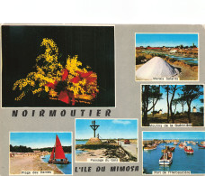 85 ILE DE NOIRMOUTIER - Ile De Noirmoutier