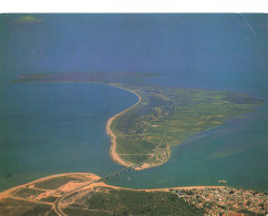 85 ILE DE NOIRMOUTIER - Ile De Noirmoutier