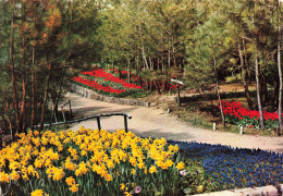 85 LA TRANCHE SUR MER LES FLORALIES - La Tranche Sur Mer