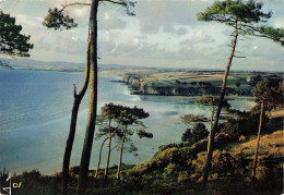 29 DOUARNENEZ LA PLAGE DU RIZ - Douarnenez