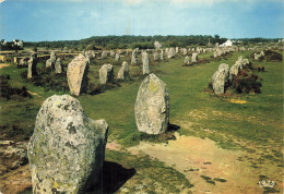 56 CARNAC LES ALIGNEMENTS DE MENHIRS AU MENEC - Carnac