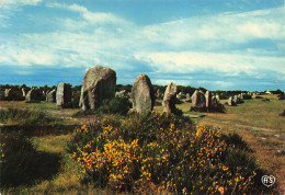 56 CARNAC LES ALIGNEMENTS DU MENEC - Carnac