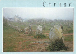 56 CARNAC LES ALIGNEMENTS MEGALITHIQUES DU MENEC - Carnac