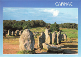 56 CARNAC LES ALIGNEMENTS DE KERMARIO - Carnac