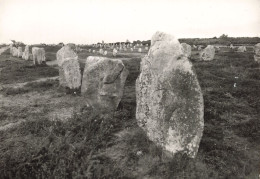 56 CARNAC ALIGNEMENTS DE KERMARIO - Carnac