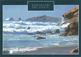 56 QUIBERON LA COTE SAUVAGE - Quiberon