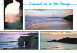 56 QUIBERON LA COTE SAUVAGE - Quiberon