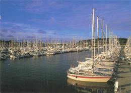 56 LA TRINITE SUR MER LE PORT DE PLAISANCE - La Trinite Sur Mer