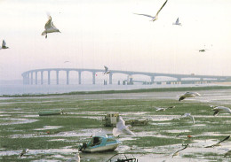 17 L ILE DE RE LE PONT - Ile De Ré