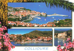 66 COLLIOURE  - Collioure