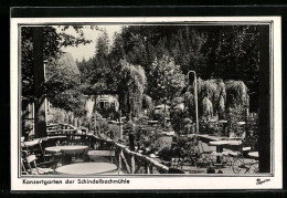 AK Marienberg, Konzertgarten Der Schindelbachmühle  - Marienberg