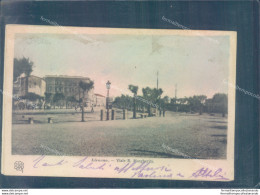 Z180 Cartolina Livorno Citta' Viale R.margherita Scollata 1903 - Livorno