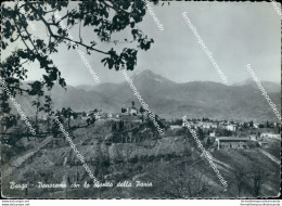 Bi164 Cartolina Barga Panorama Con Lo Sfondo Della Pania Provincia Di Lucca - Lucca