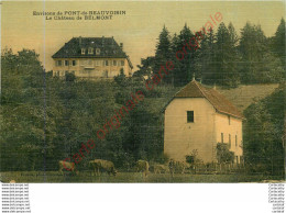 PONT DE BEAUVOISIN .  Château De BELMONT . - Sonstige & Ohne Zuordnung