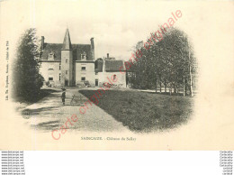 58.  SAINCAIZE .  Château Du Sallay . - Autres & Non Classés