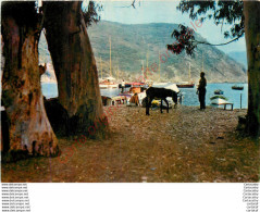 20.  Golfe De GIROLATA .  Yachts à L'ancre . - Autres & Non Classés