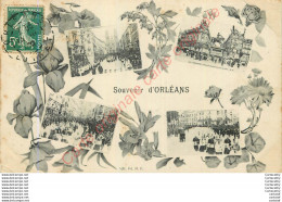 45.  Souvenir D'ORLEANS . - Orleans