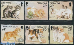 Gibraltar 1997 Cats 6v, Mint NH, Nature - Cats - Gibraltar