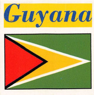 Flag Chromo - Guyana - 5 X 5 Cm - Other & Unclassified